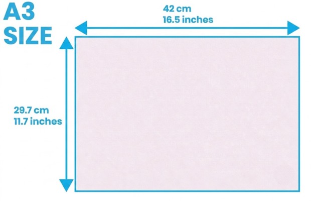 Kích thước giấy A3 được quy đổi theo nhiều đơn vị đo lường như 29,7 × 42,0 cm và 11,7 × 16,5 inch