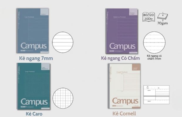 Các loại dòng kẻ phổ biến gồm kẻ ngang, 4 ô ly, 5 ô ly và kẻ caro 