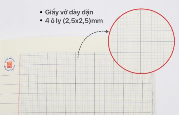 Lựa chọn dòng kẻ phù hợp giúp việc ghi chép và trình bày nội dung thuận tiện hơn